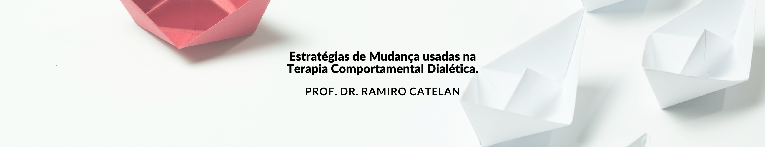Estratégias de Mudança usadas na Terapia Comportamental Dialética