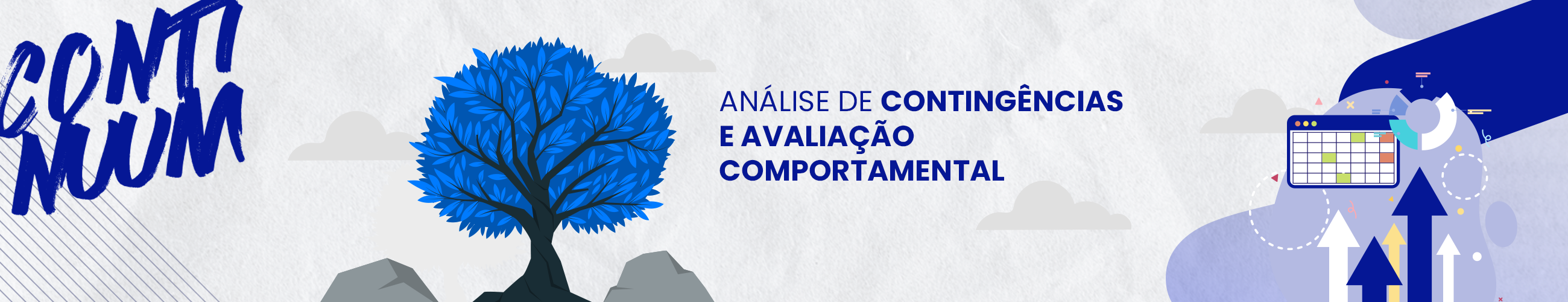 Análise de Contingências e Avaliação Comportamental
